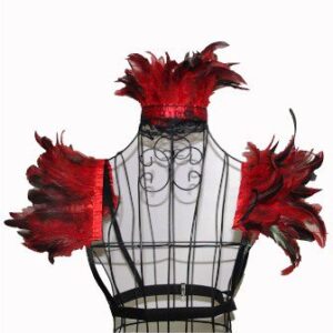Burlesque Red Feather Costume Accessory