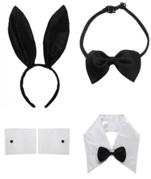 sexy playboy bunny costume accessories